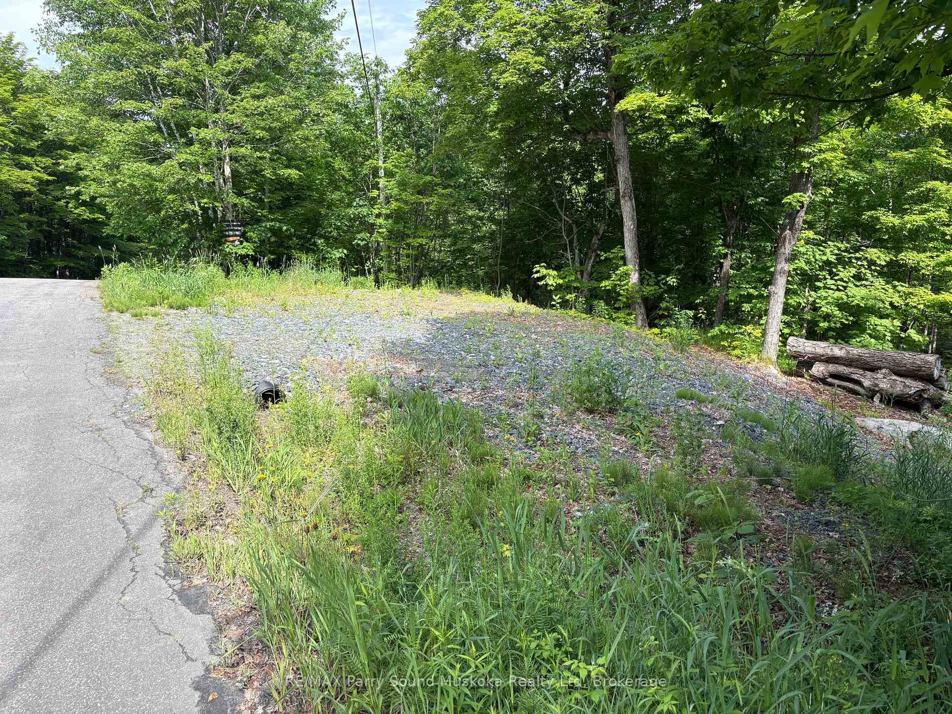 85 Sunnyshore Park Drive photo 7