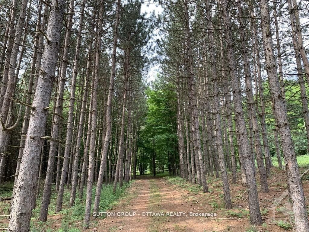 14 Lumberjack Trail photo 5