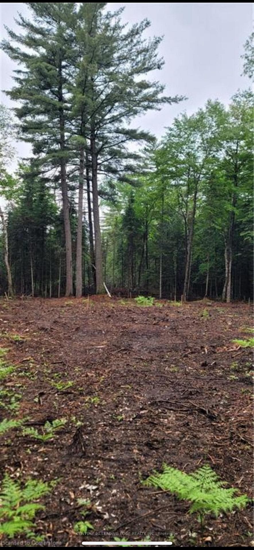 NA Dwight Beach Road photo 8