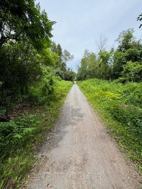 4071 County Road 32 N/A photo 25