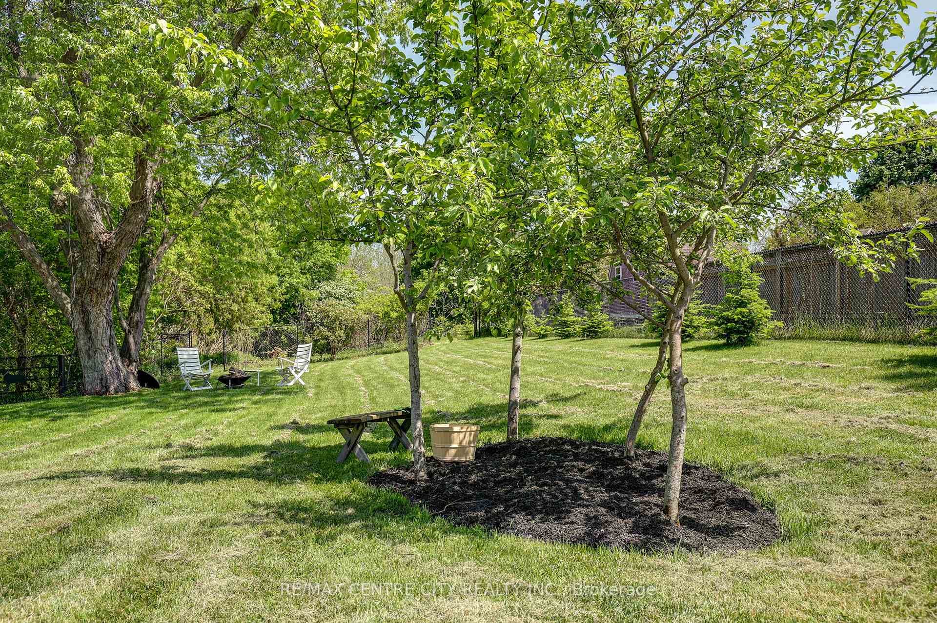 fruit trees