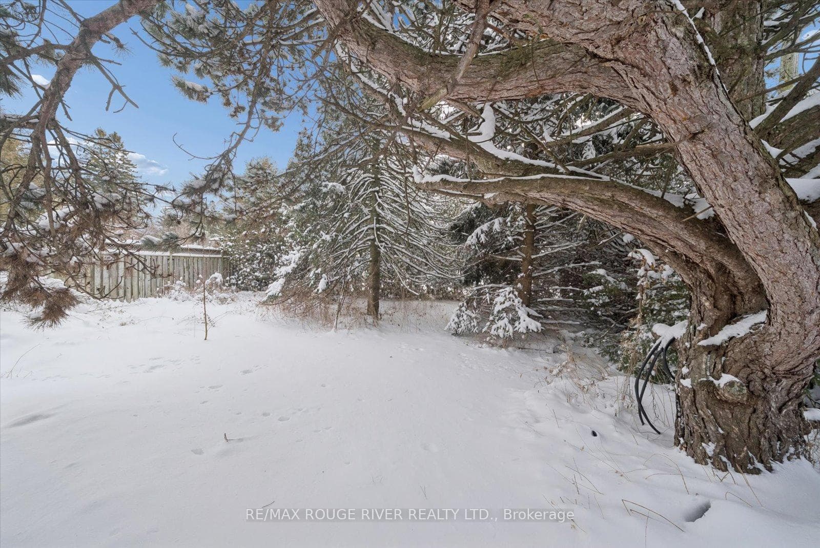 1277 Old Orchard Avenue photo 27