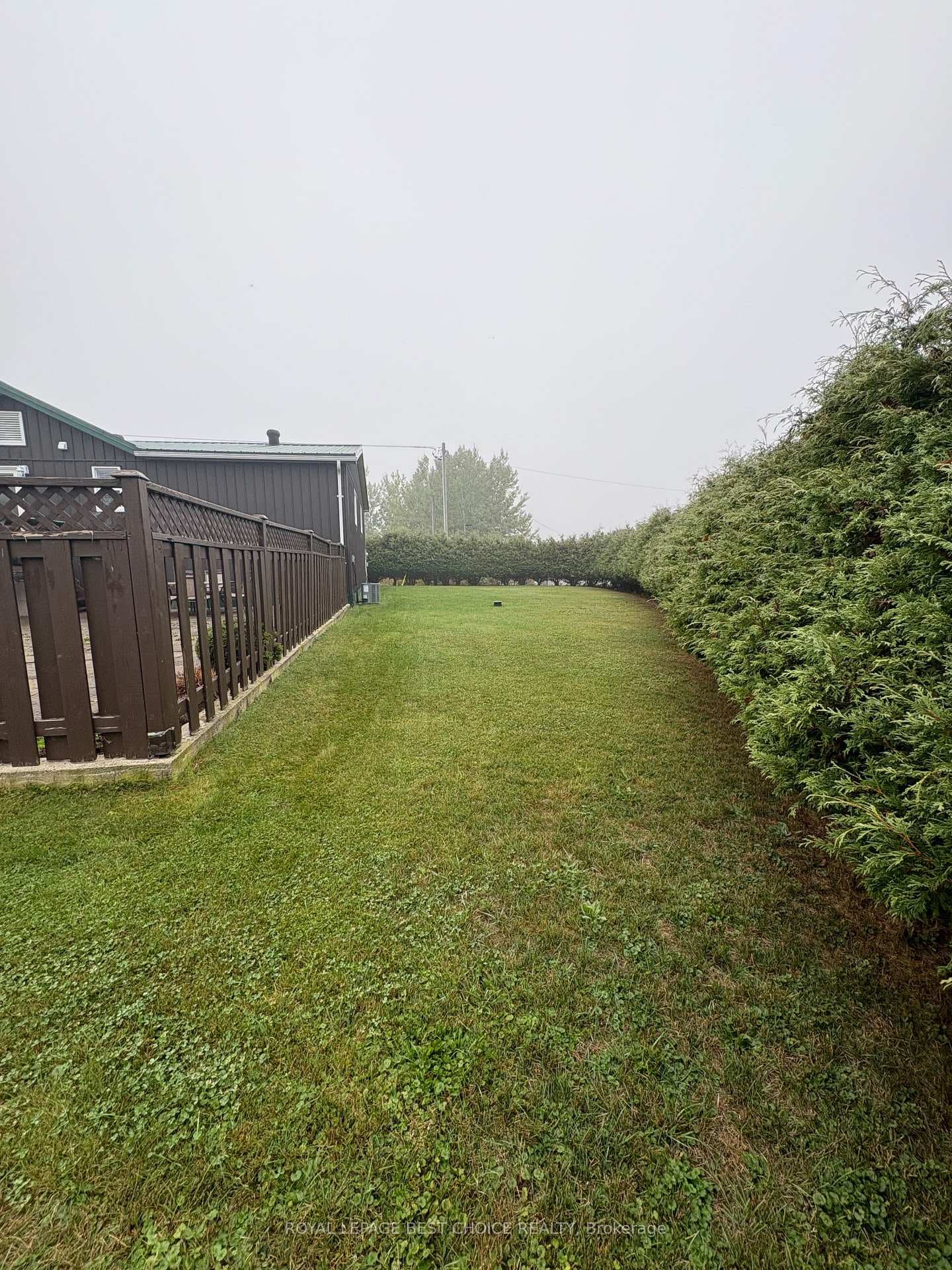 407 Matheson Street photo 18