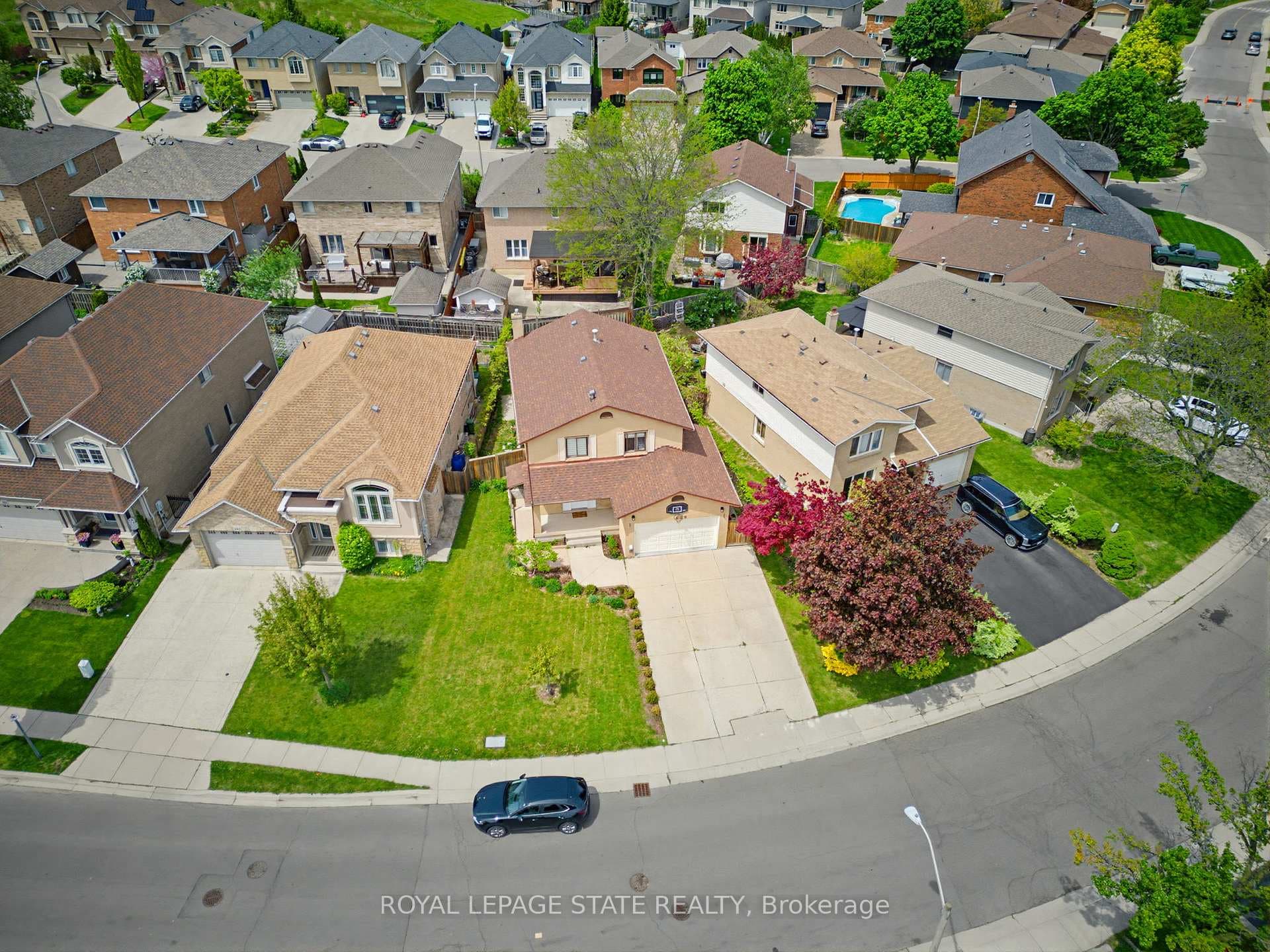 459 Dicenzo Drive photo 3
