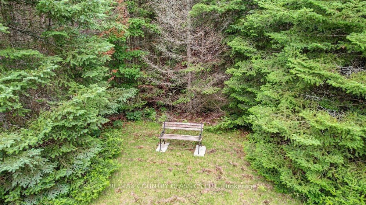 Resting Bench on a Trail