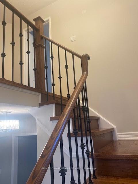 10 seclusion Crescent photo 17