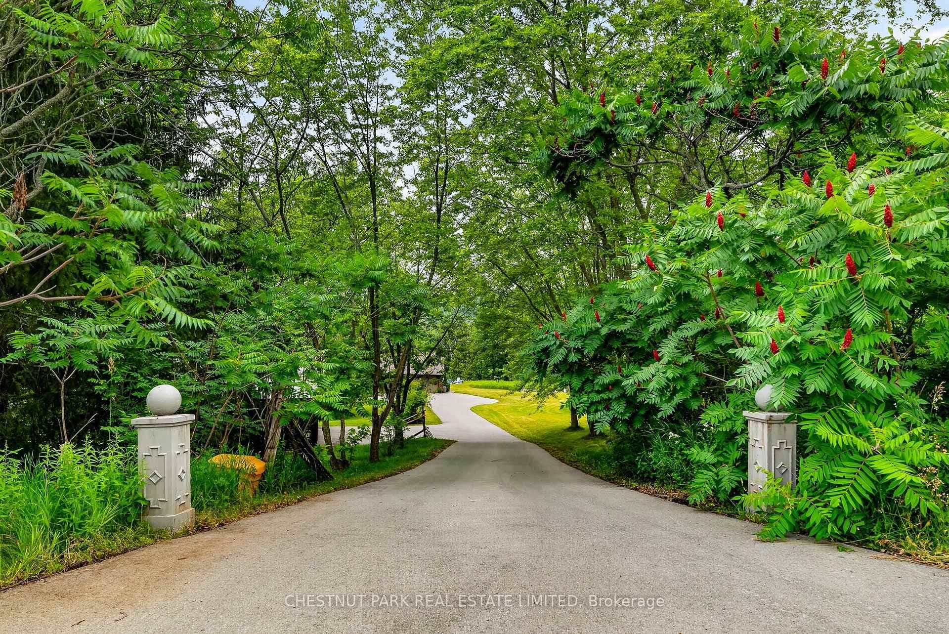 Driveway entrance, very private