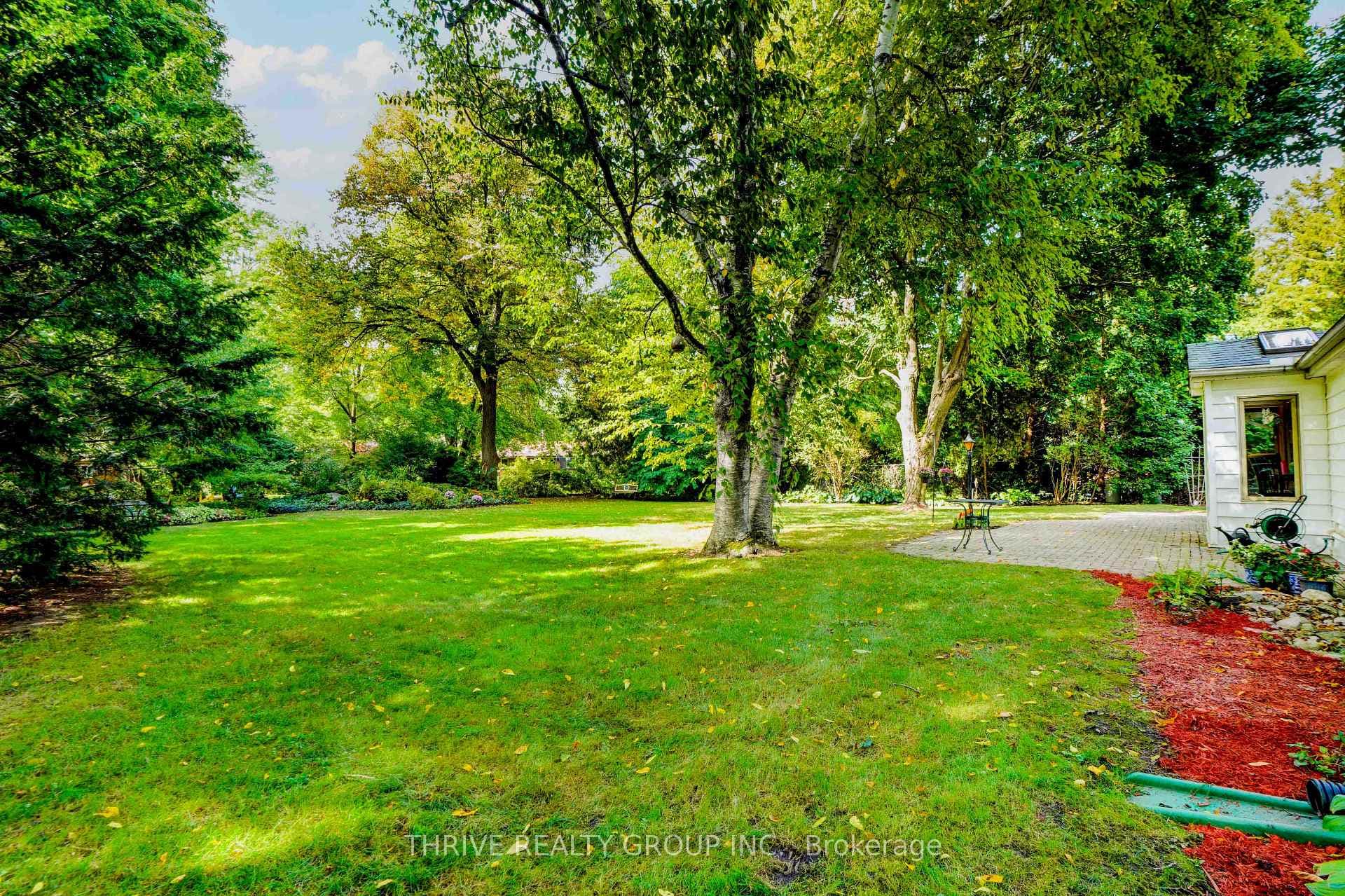Park-like yard with mature trees