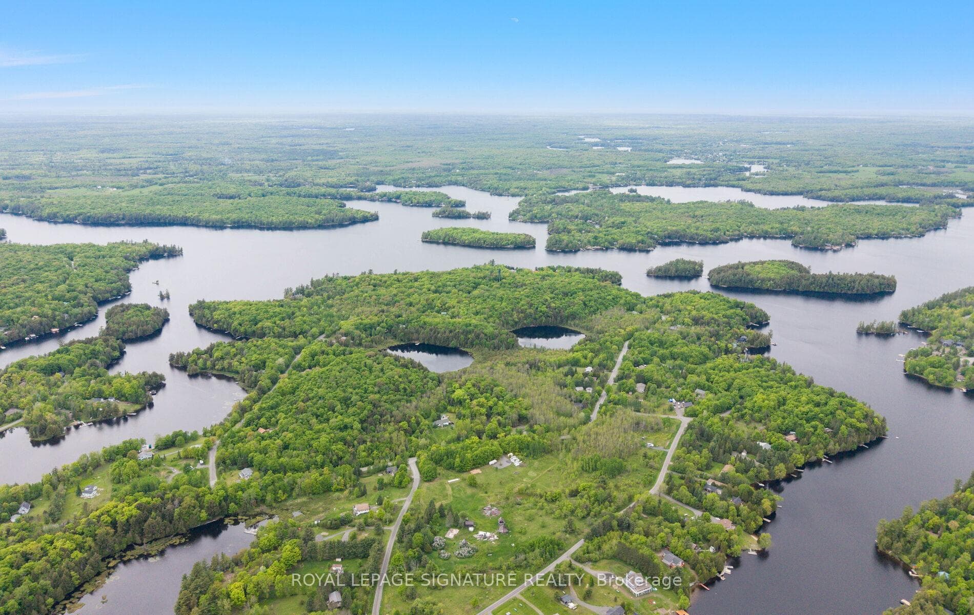 44 Sunnyshore Park Drive photo 47