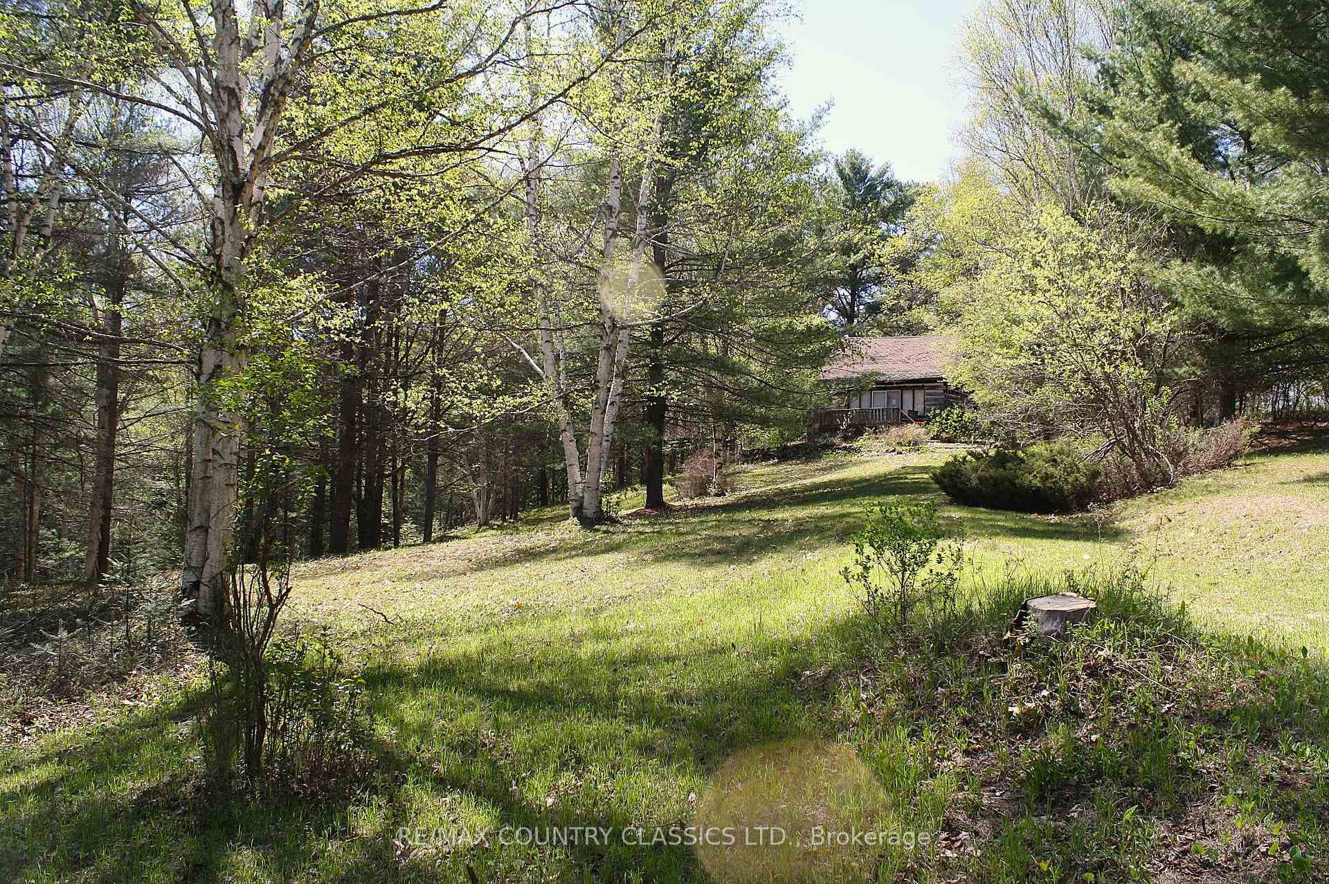 1060 Little Ireland Road photo 28