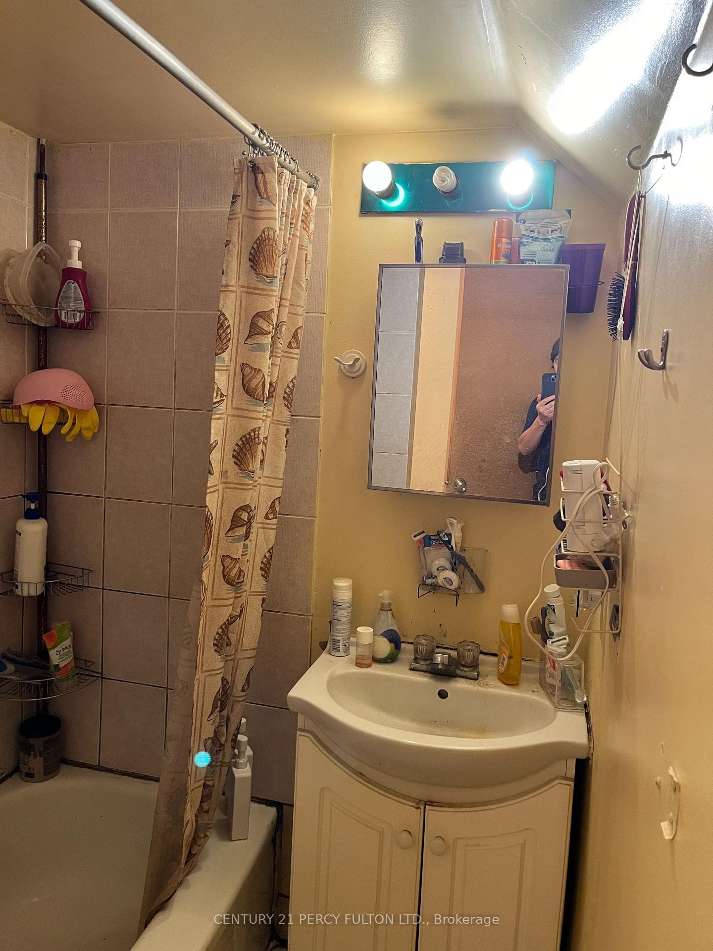 746 Lansdowne Avenue Unit Bsmt photo 8