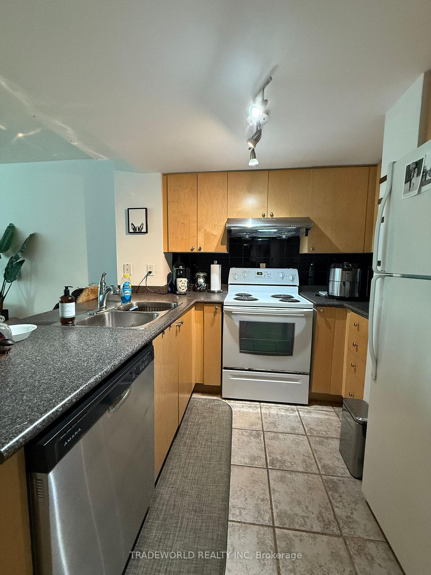 231 Fort York Boulevard Unit 1002 photo 6