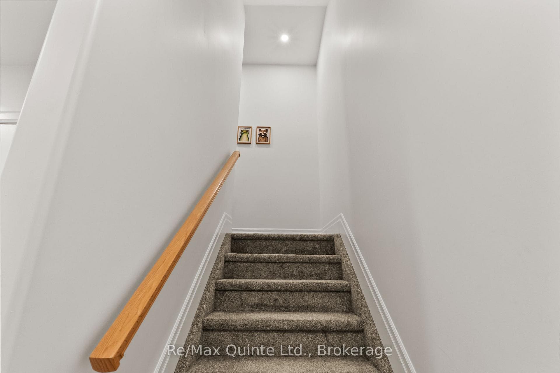 107 Buchanan Avenue photo 7