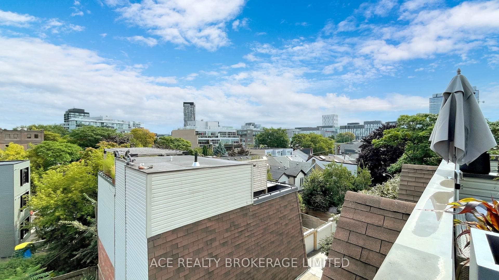 447A Queen Street photo 18