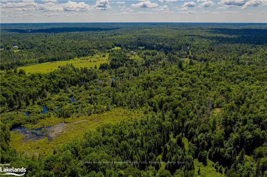 320 NELSON LAKE Road photo 8
