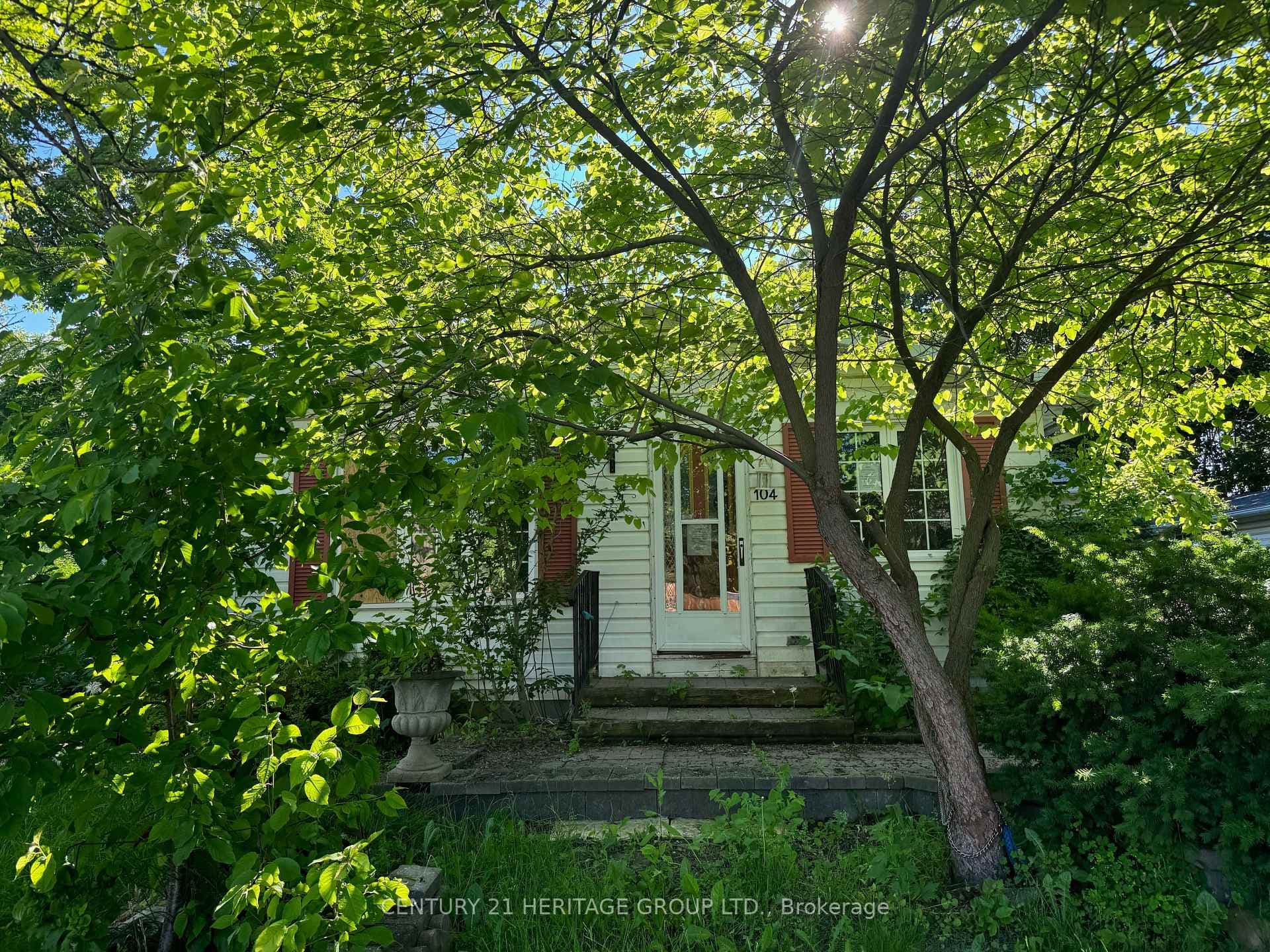 104 Queen Street photo 3