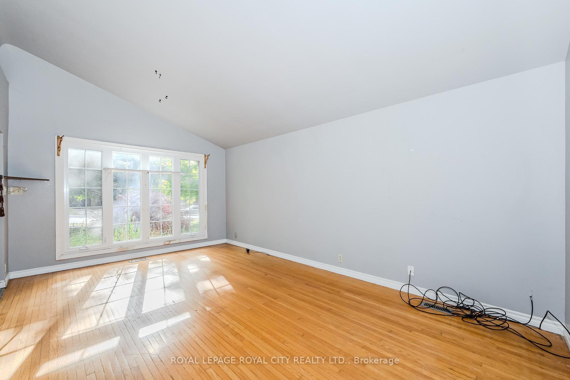 115 Speedvale Avenue photo 9
