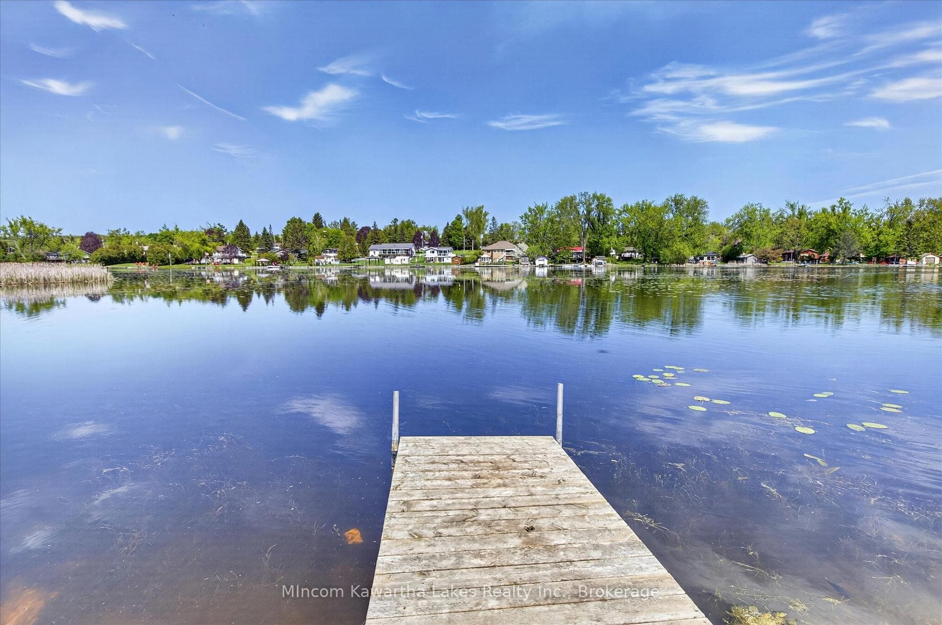 46 LAWRENCE Street photo 48
