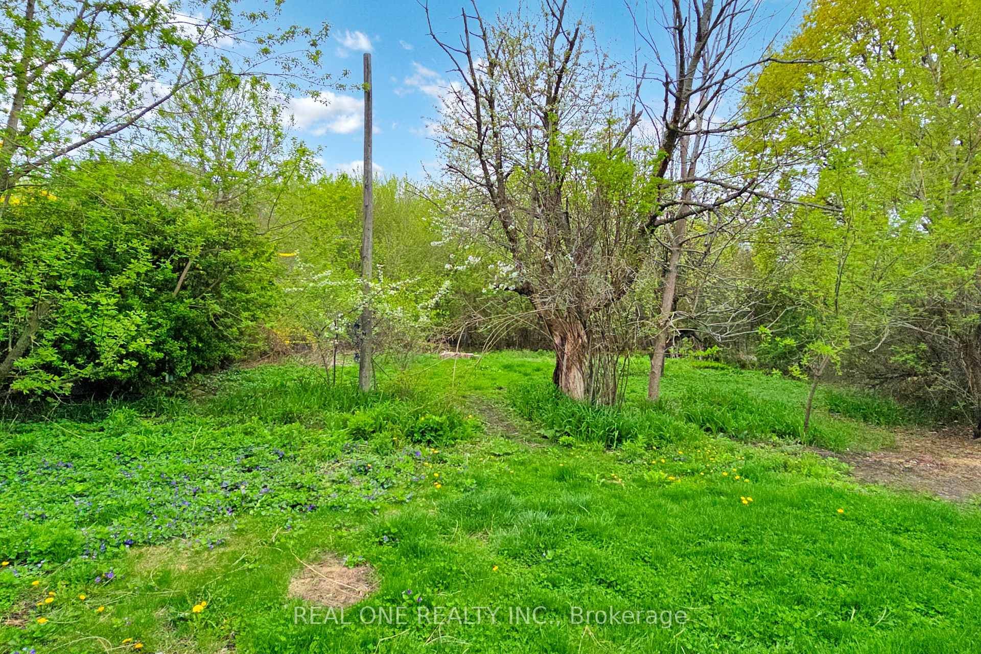 136 Gibb Street photo 47