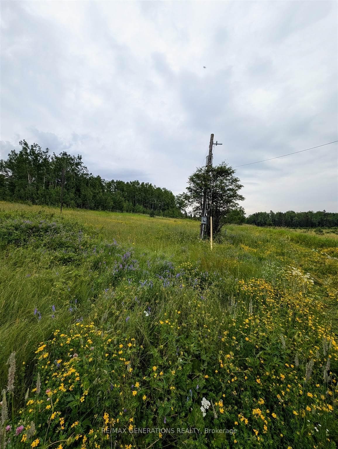 59 Oikonen Road photo 16