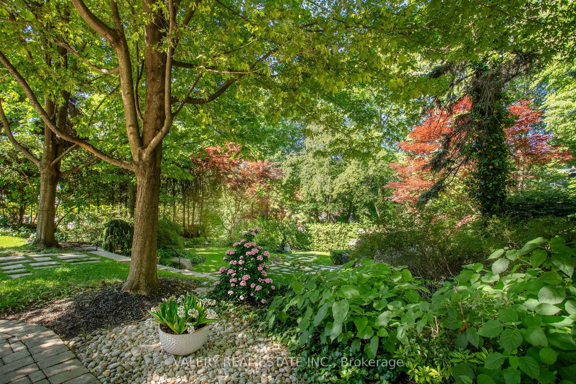 Private garden surrounded by mature greenery
