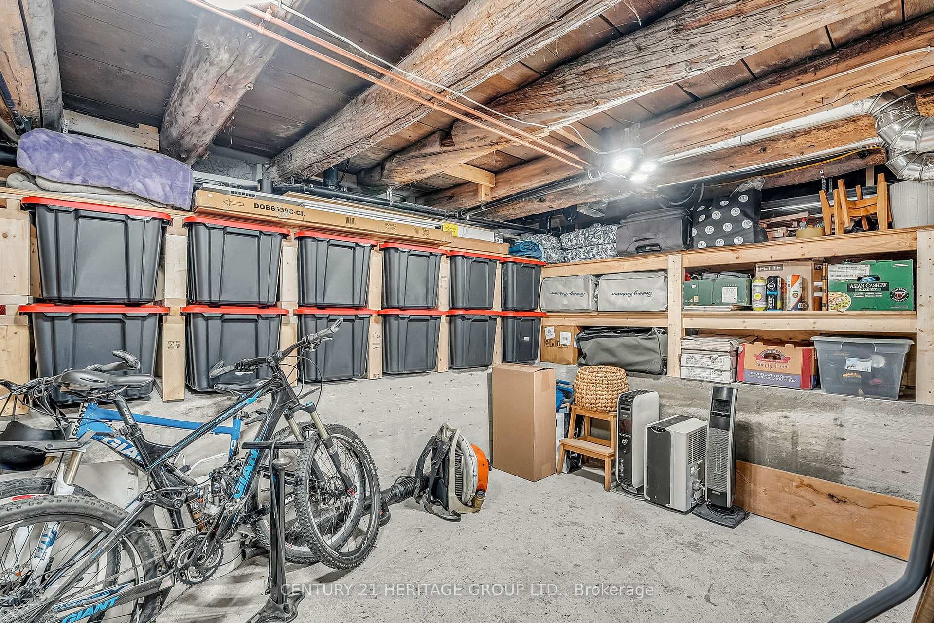 49 Ann Street photo 31