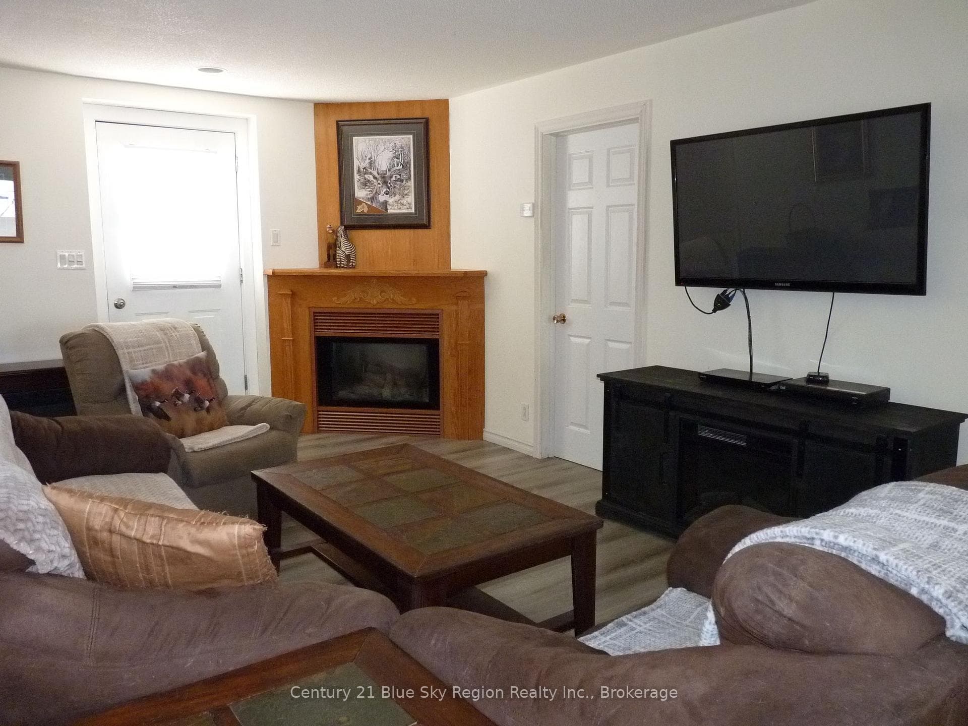 LIVINGROOM - GAS FIREPLACE