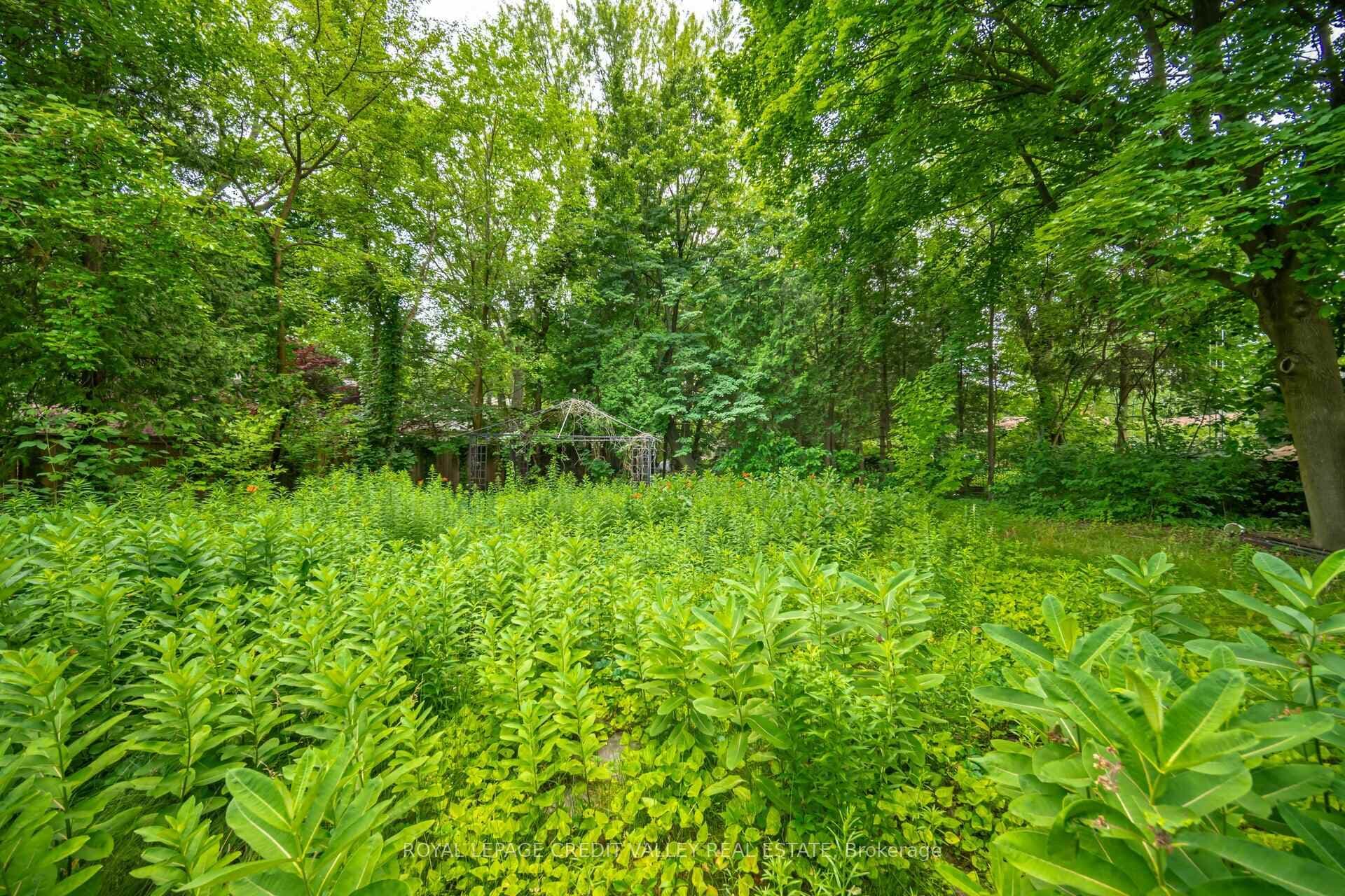 1472 Indian Road photo 26