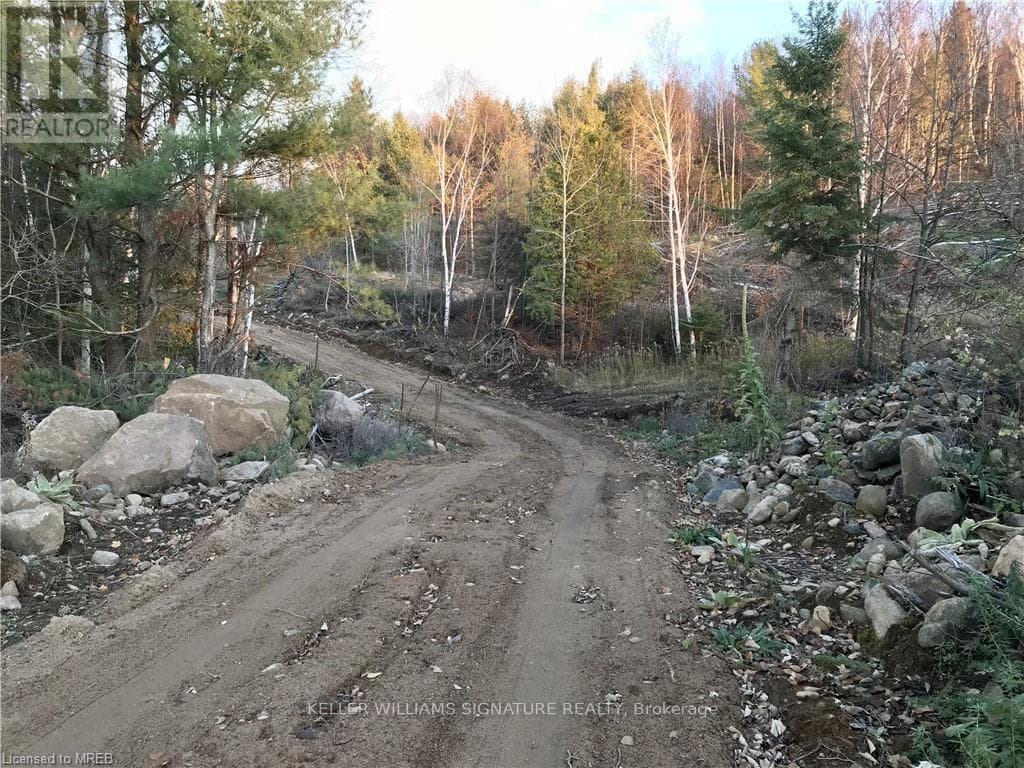 5171 Opeongo Road photo 7