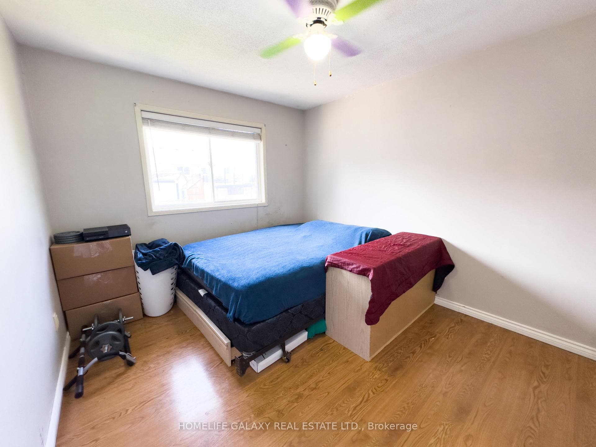 135 Trudeau Drive photo 24