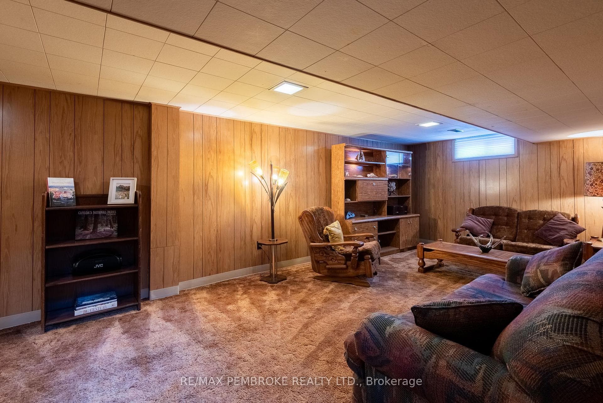 Cozy lower level