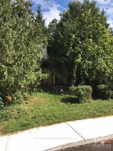 31 HARVARD Avenue photo 14