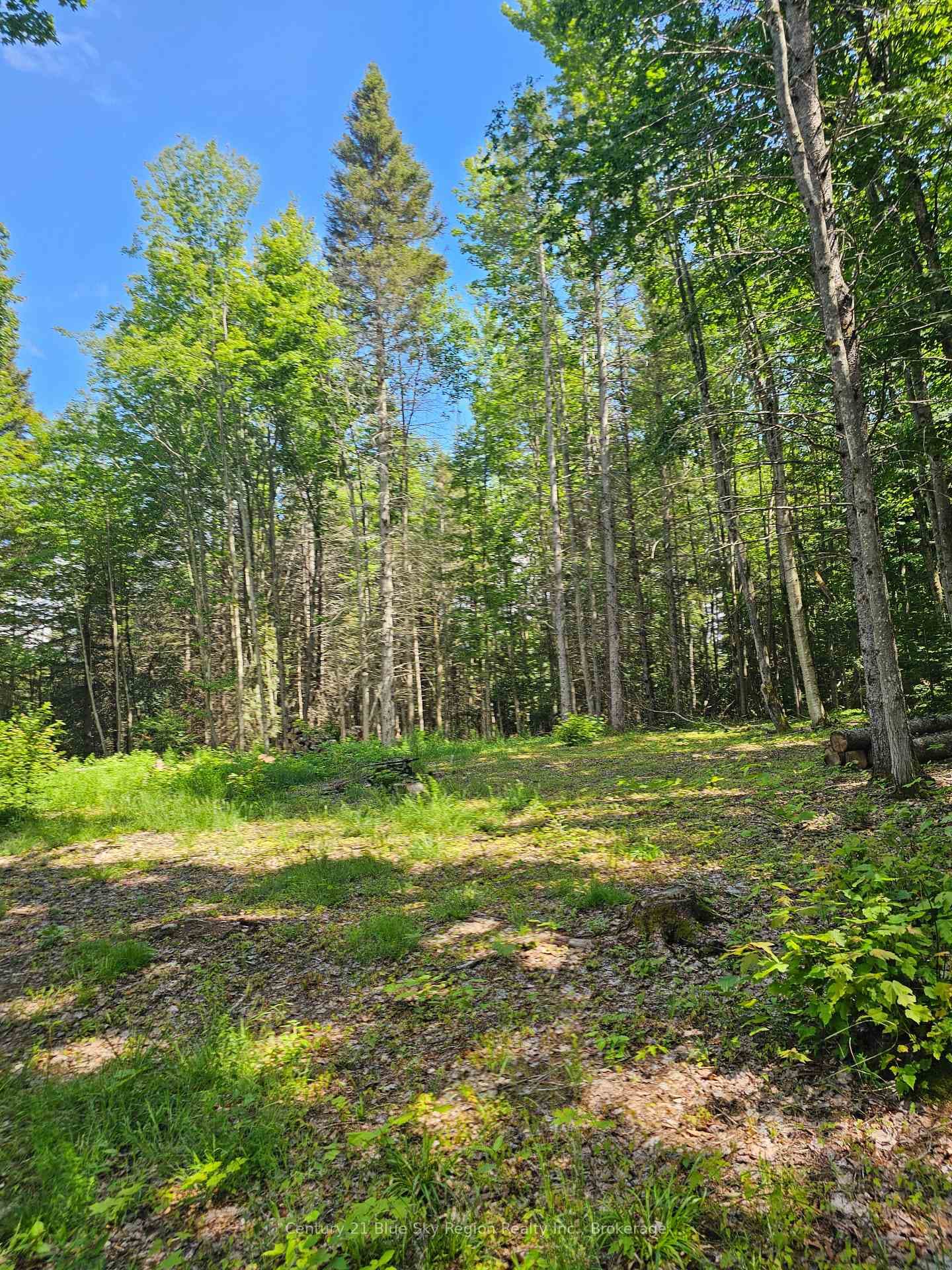 4369 Highway 534 N/A photo 17