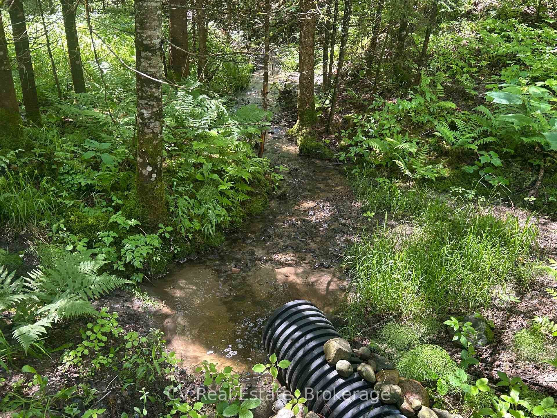 Creek through property