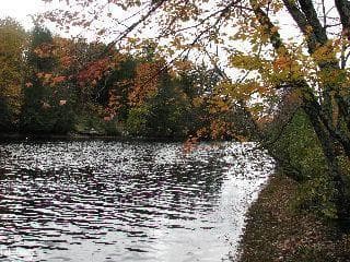 1260 Mathiasville Road photo 2