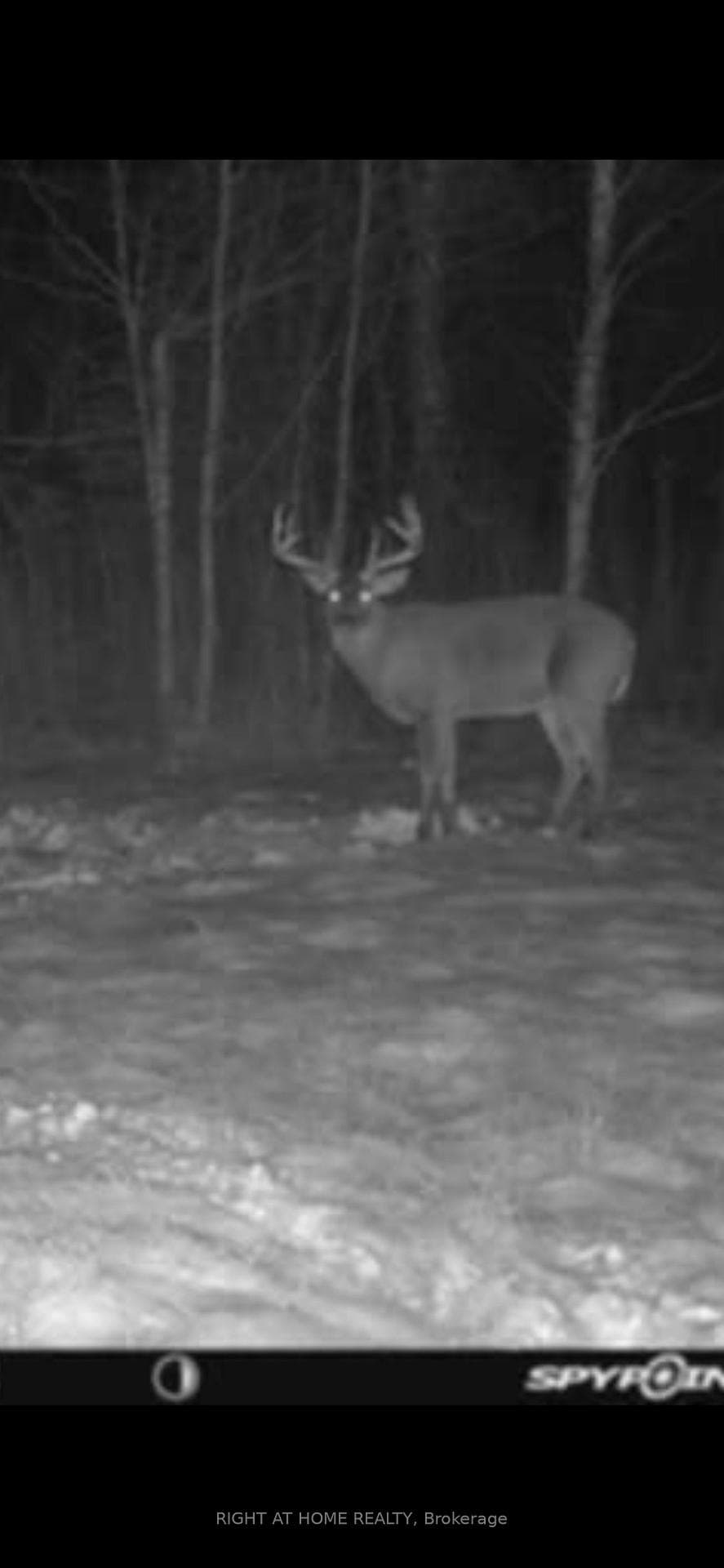 0 Mount Horeb Road photo 11