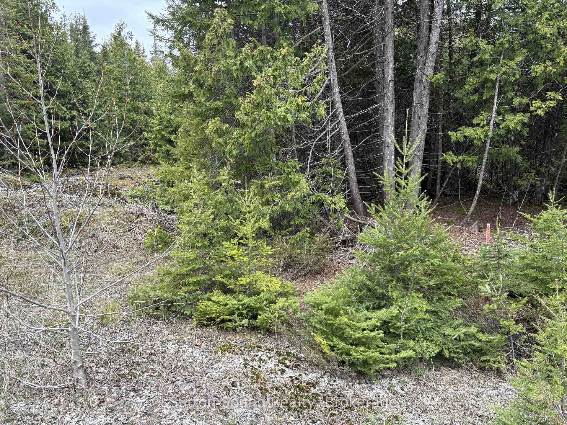 PT LT 1 CON 3 WBR (FOURTHLY) Concession photo 4