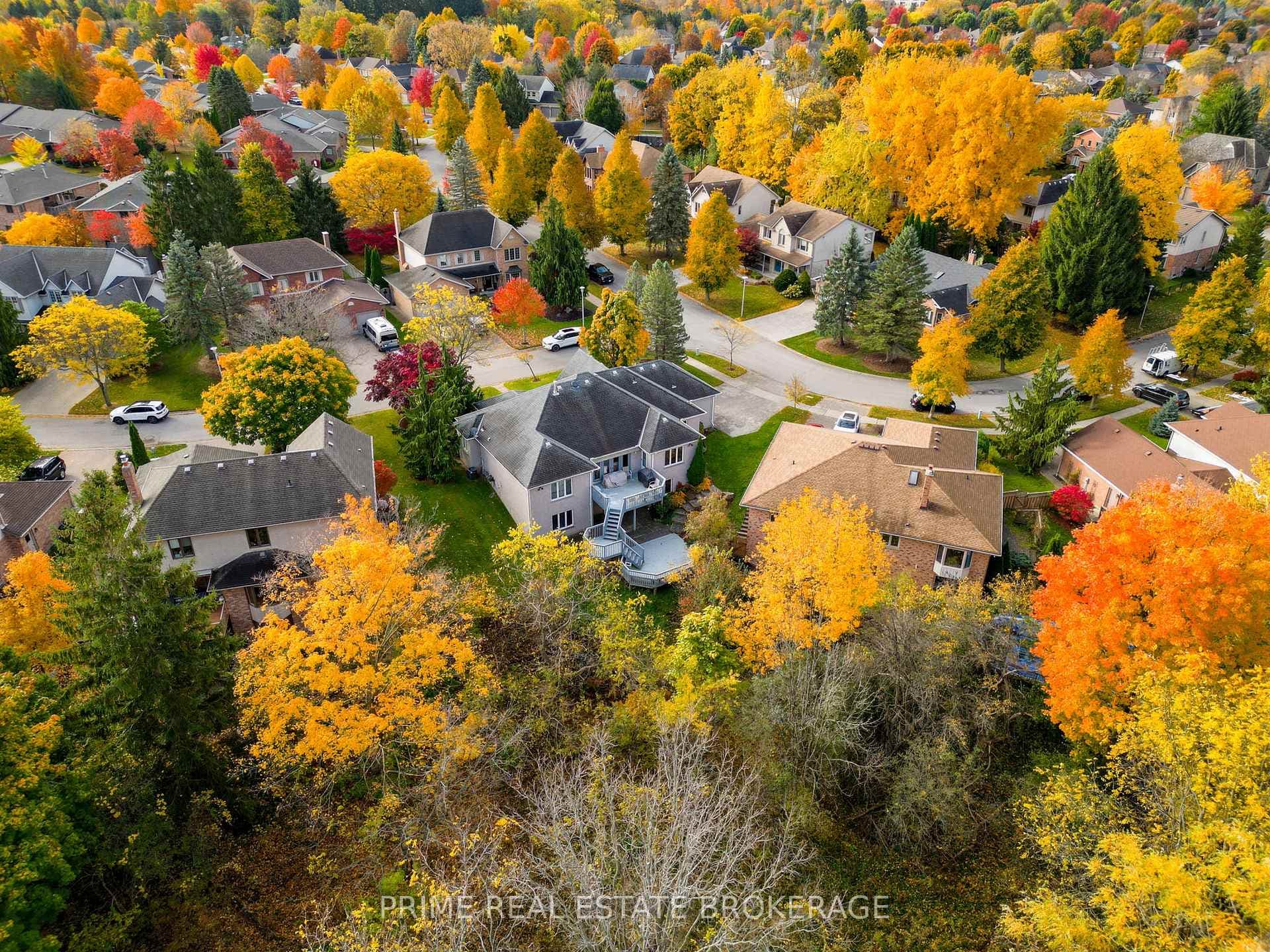 82 Muskoka Court photo 37