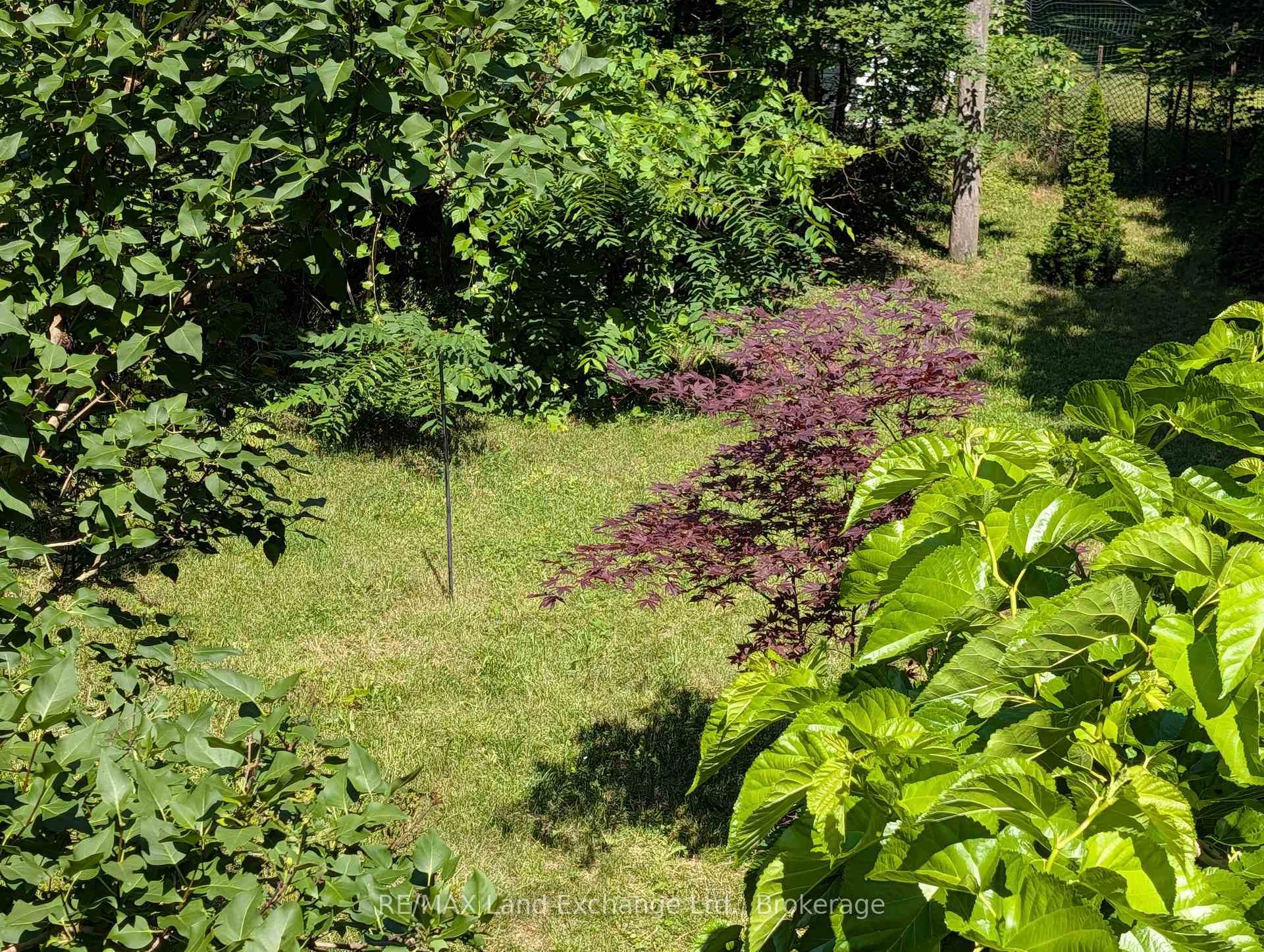 Yard
