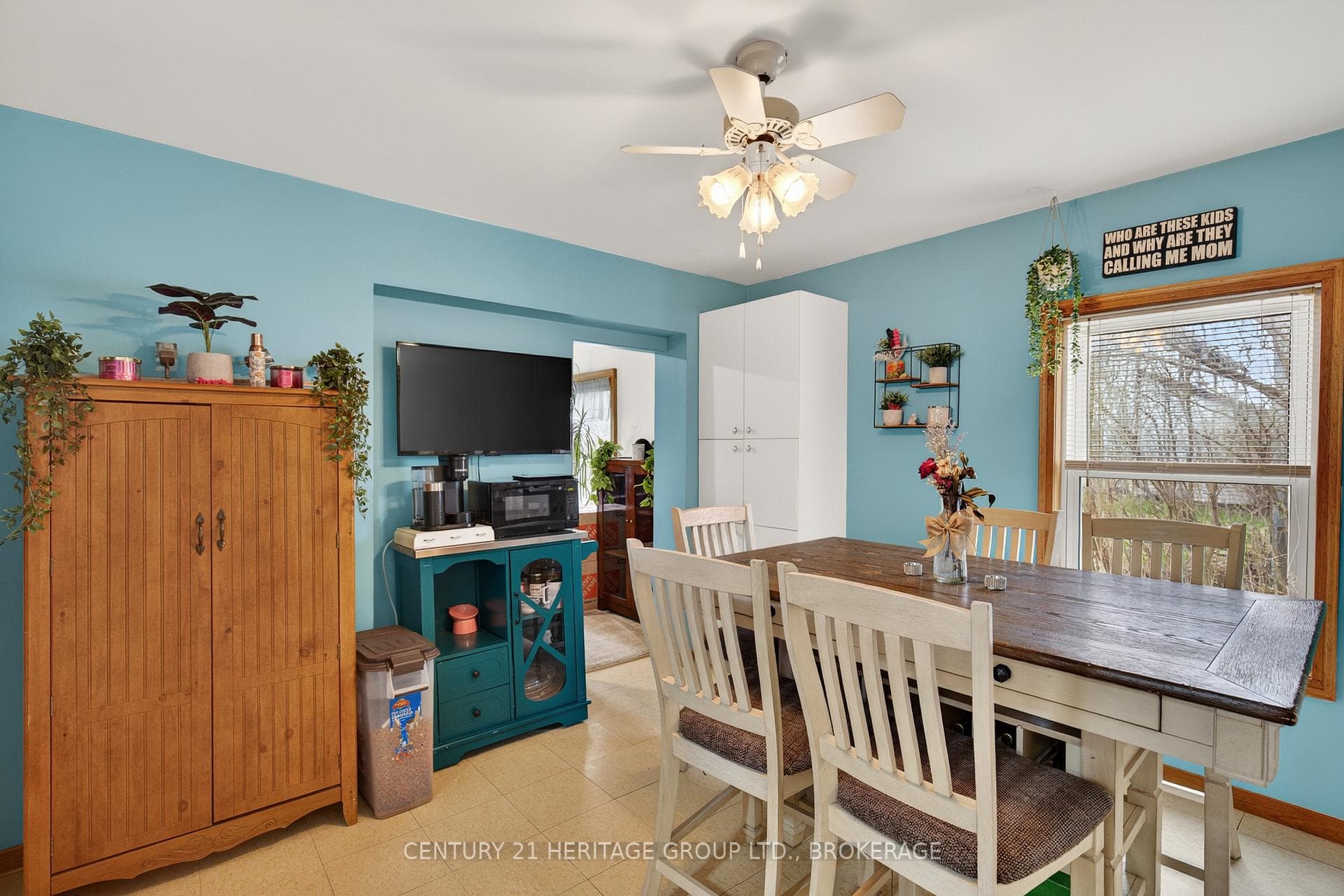4 Gilbert Street photo 23