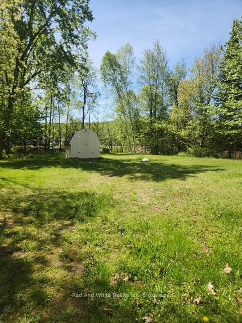 spacious back yard