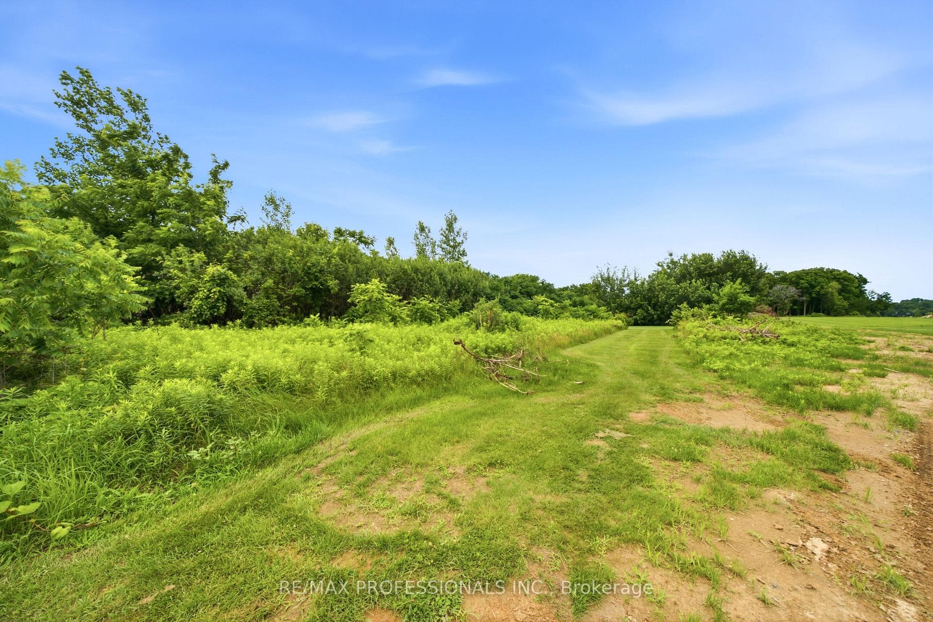 Lot 1 Tallman Drive photo 20