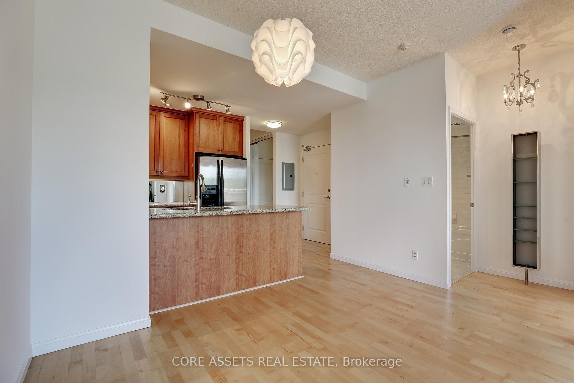 900 Mount Pleasant Road Unit 514 photo 18
