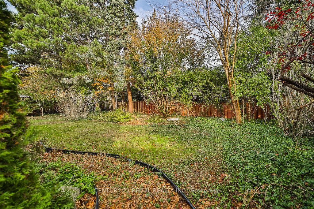 56 Somerdale Square photo 28