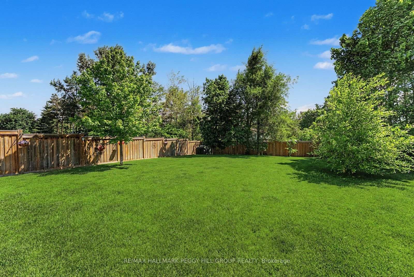 2967 Earl Street photo 14
