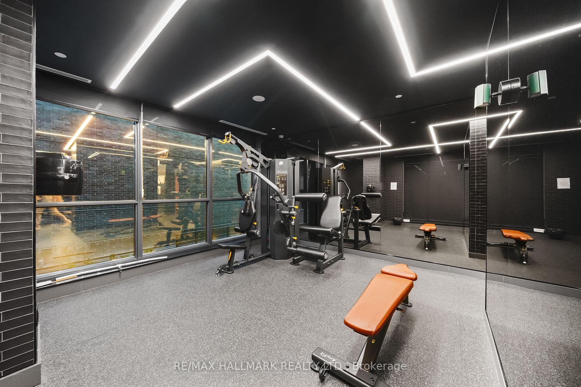 Free weights and cardio machines