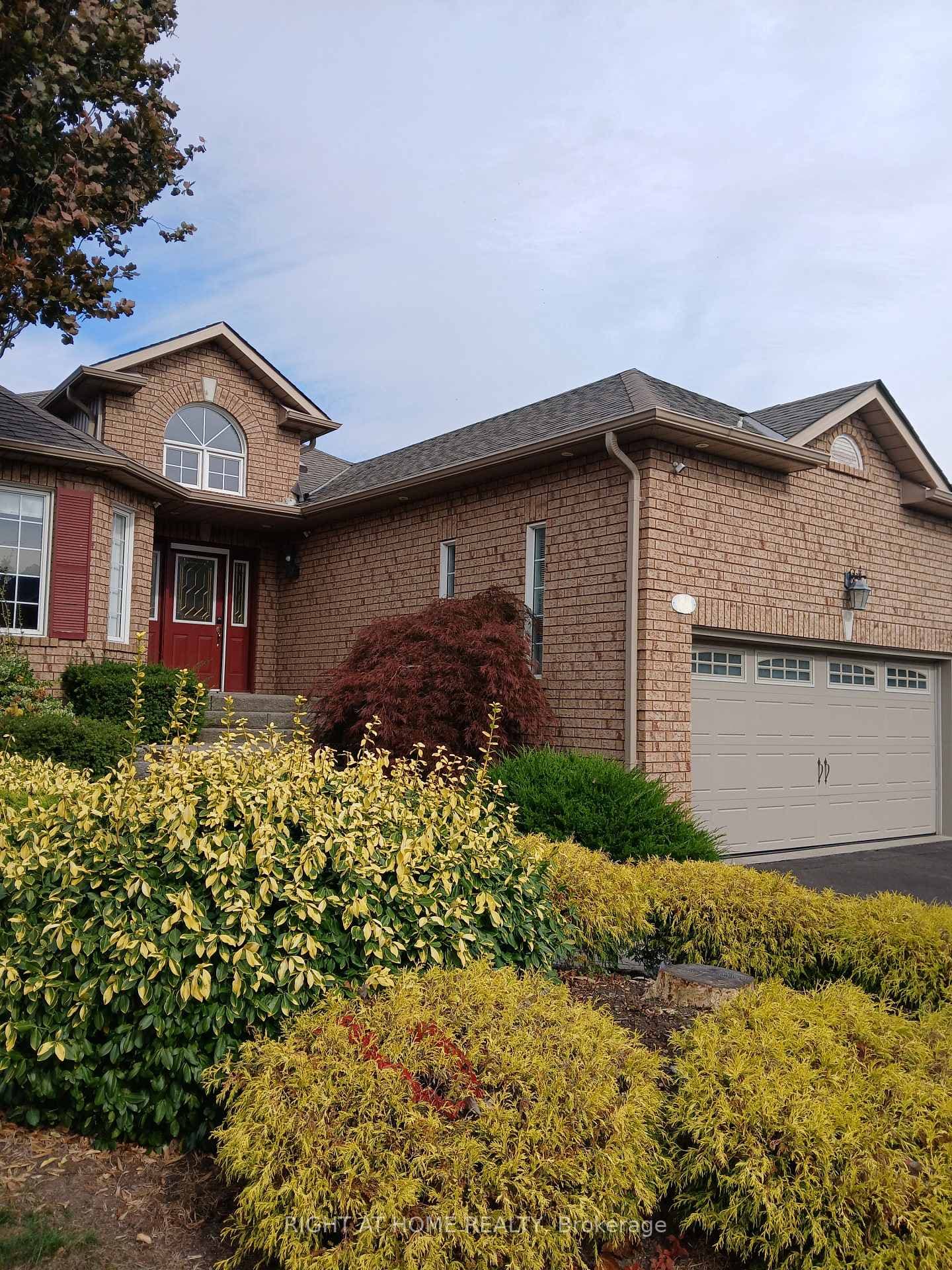 61 Patrick Drive photo 1