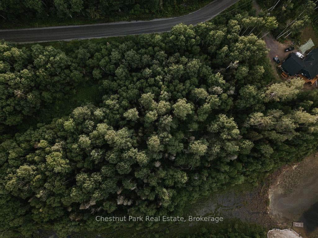 447 Fox Run photo 35