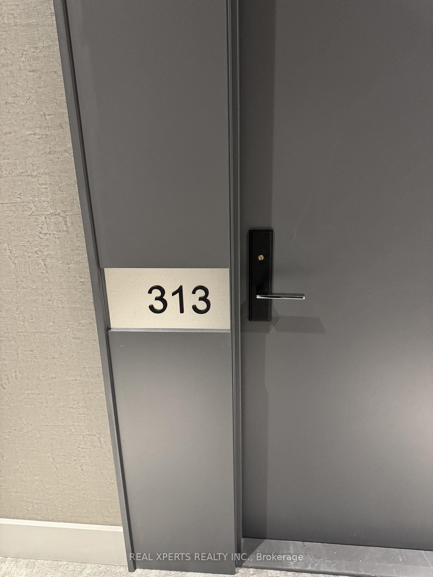 285 Dufferin St Street Unit 313 photo 4