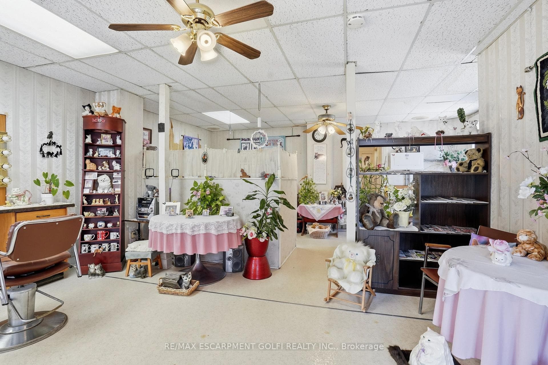 61 Niagara Street photo 6